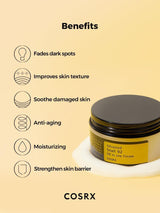 Cosrx Advanced Snail 92 All in-1 Cream - 100g - image 5 - ArabiaGlow UAE